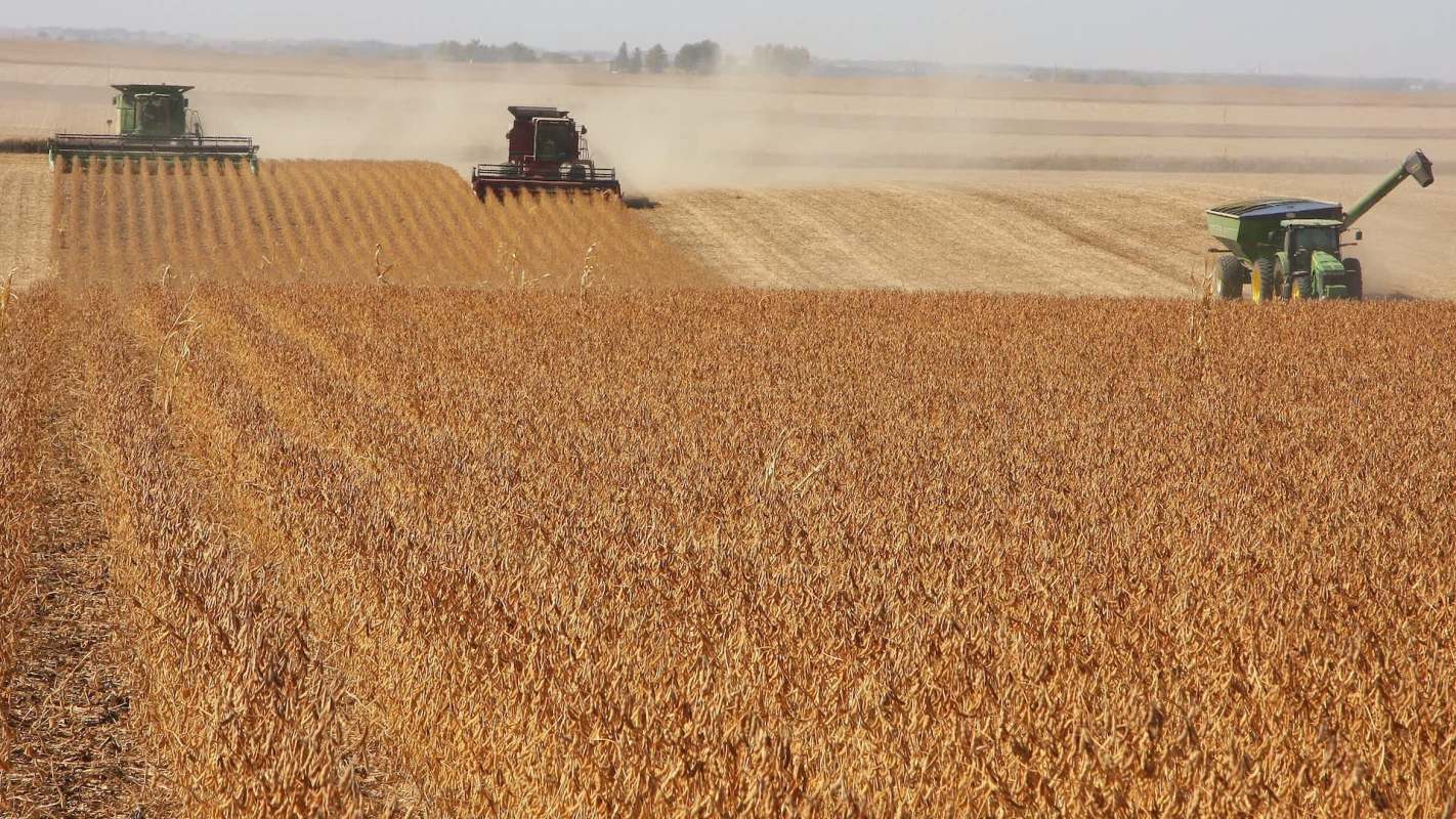 Iowa's 2025 corn crop broke records at 2.7 million bushels, but 2025 marked a new high yield with 2.77 million bushels.