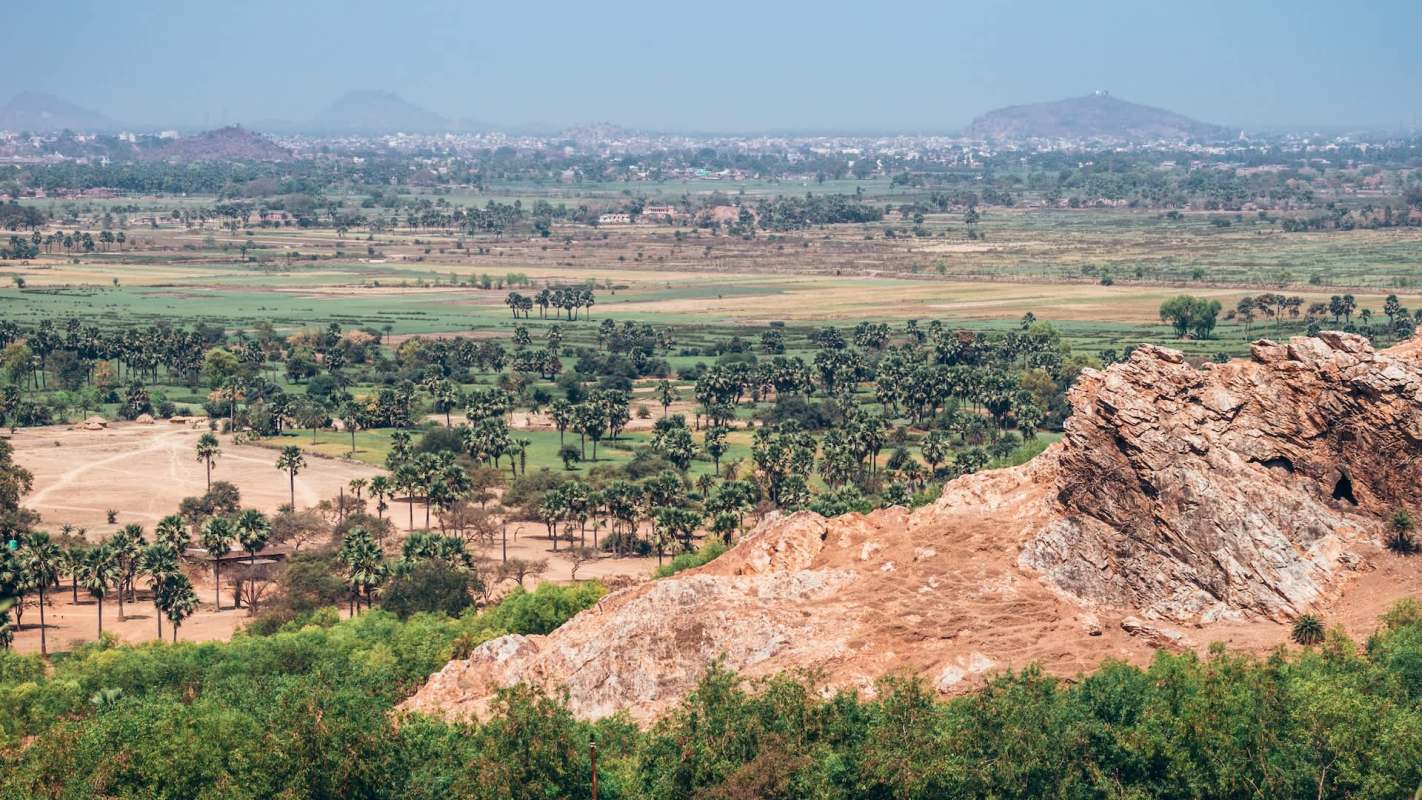 Red-breasted parakeets are known for the bold red patch across their chests. They were spotted nesting and flying between campuses in Patna, Bihar, India.