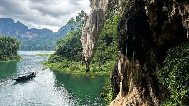 A long-lost plant species has been rediscovered in the jungles of Thailand, surprising researchers in the process.