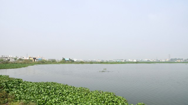 Steady monsoon rains in India have dramatically boosted water levels across reservoirs on the southern coast, easing water concerns for both people and the environment.