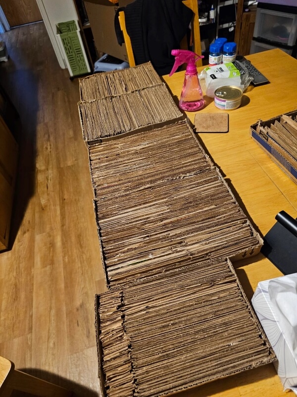 cardboard box scratcher