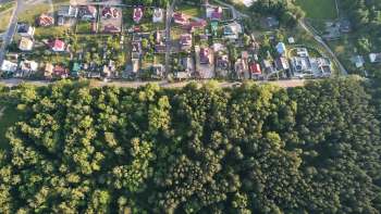 An alarming rhesus macaque sighting in Gujarat prompted calls for immediate wildlife management efforts.