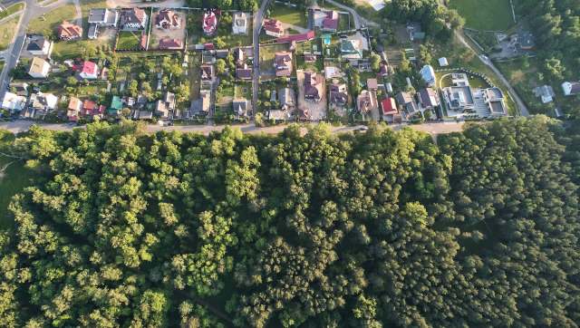 An alarming rhesus macaque sighting in Gujarat prompted calls for immediate wildlife management efforts.