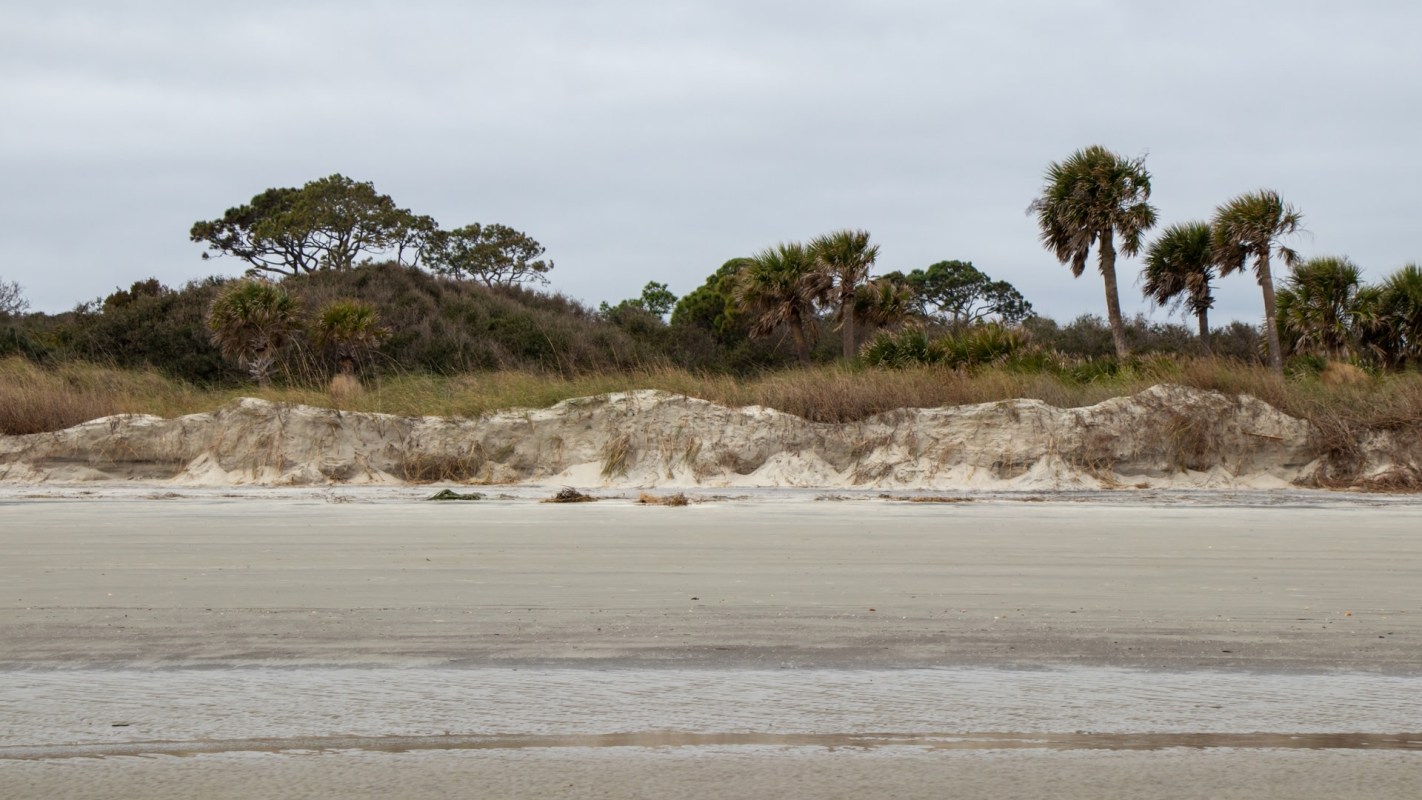 The Florida Fish and Wildlife Conservation Commission discovered a North Atlantic right whale entangled in a fishing line.