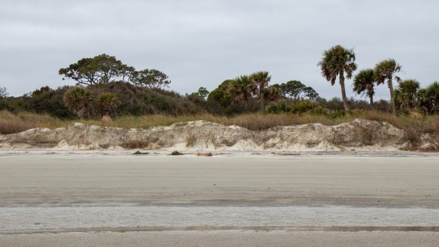 The Florida Fish and Wildlife Conservation Commission discovered a North Atlantic right whale entangled in a fishing line.