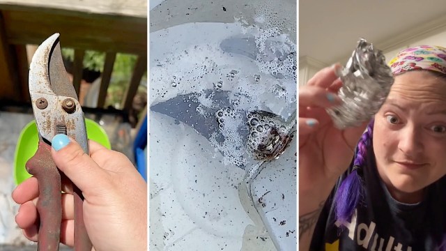 Gardener Nikki Adams shared a TikTok of how white vinegar can effectively clean rusty gardening shears.