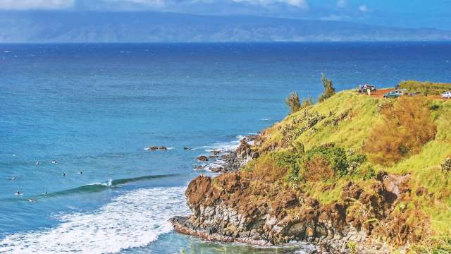 Volunteers teamed up to deploy a robust nature-based solution to coastal erosion in Hawaii.