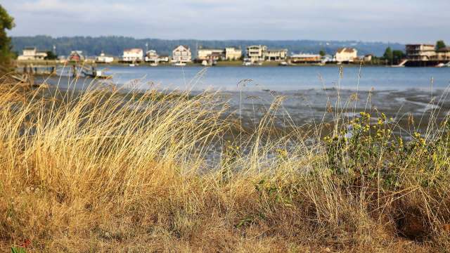 A new art installation on Bainbridge Island is helping to visualize sea-level rise in the Puget Sound.