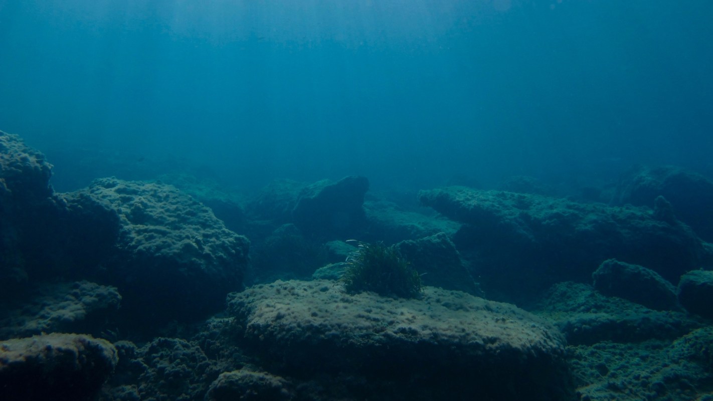 Norway voted to ban deep-sea mining until at least 2029, making a big move to protect the oceans.