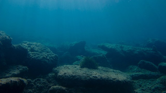 Norway voted to ban deep-sea mining until at least 2029, making a big move to protect the oceans.