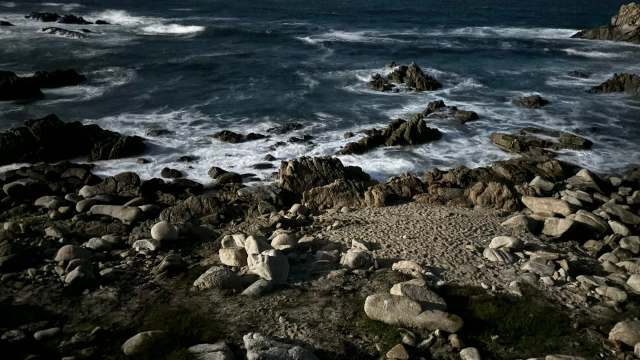 Authorities in Monterey Bay, California, are investigating after several tagged white sharks were recorded passing through an area where a swimmer went missing.