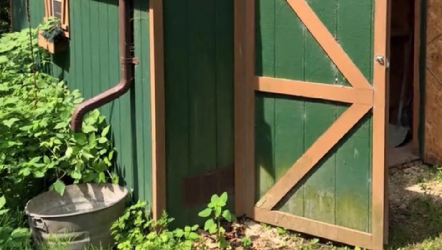 Lush gardens and native plants are becoming increasingly popular as people look for low-maintenance and environmentally friendly landscaping solutions.