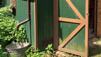 Lush gardens and native plants are becoming increasingly popular as people look for low-maintenance and environmentally friendly landscaping solutions.