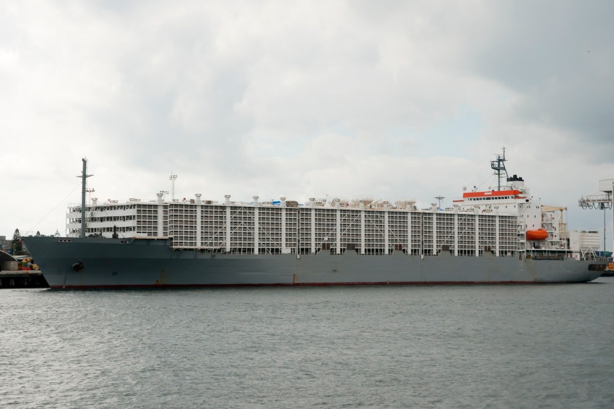 Nearly 3,000 cows were trapped aboard a livestock vessel stranded at sea for months, putting live animal exports in the spotlight.