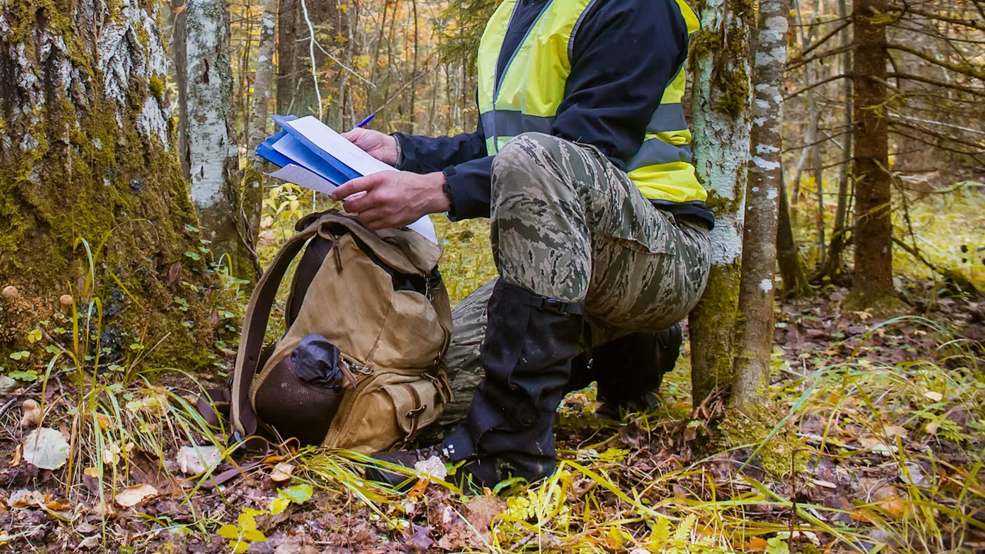 Researchers alarmed after discovering new species in Peruvian forest: 'The greatest challenge is ensuring ... protection'