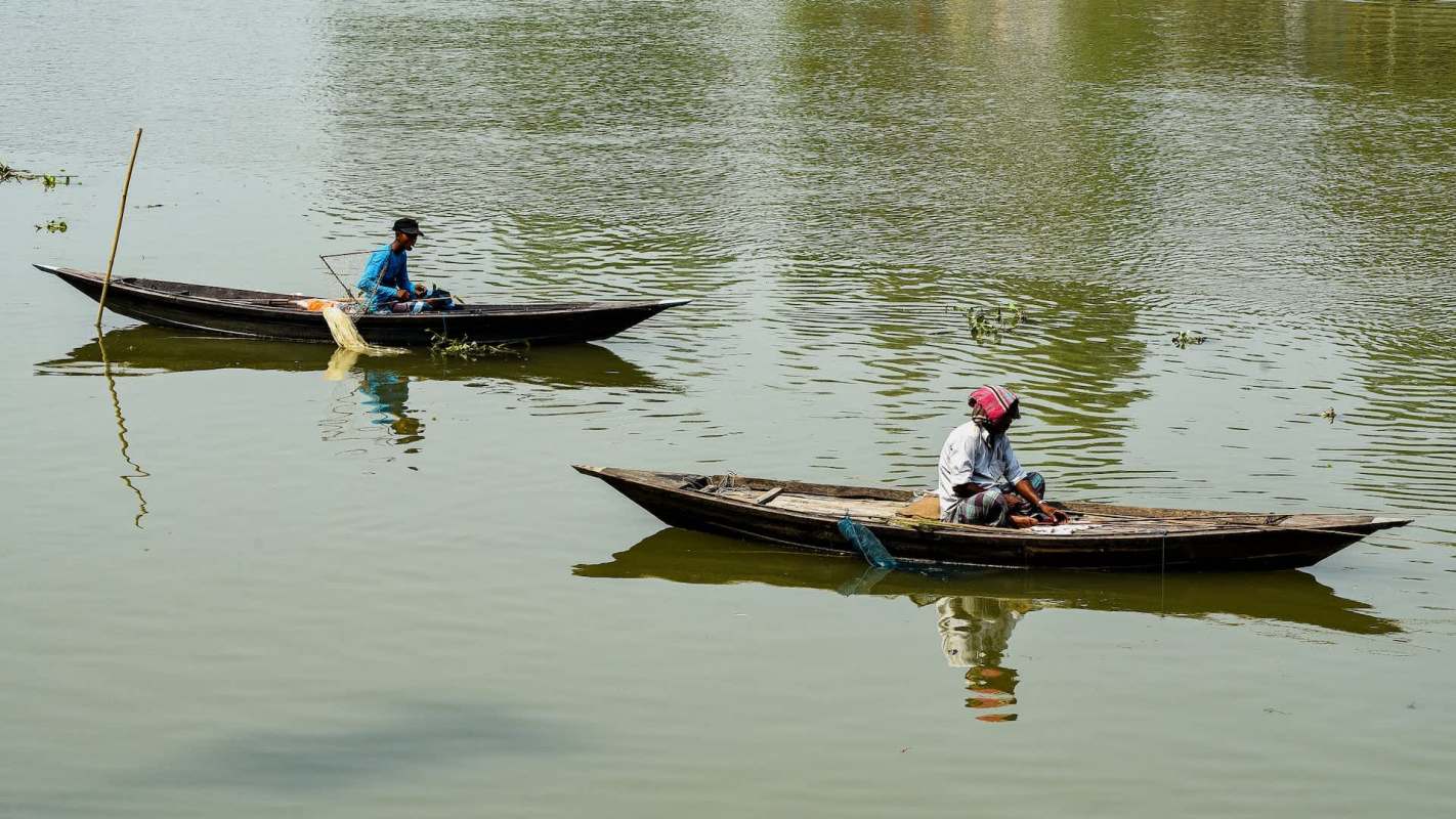 An escaped aquarium fish species has overtaken flood-hit canals in Bangladesh, posing a threat to native fish species.