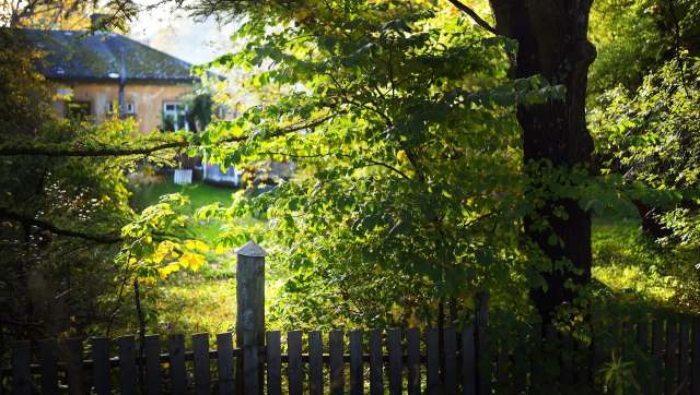 Installing solar panels is a constructive, eco-conscious way to save money — but petty neighbors' disagreements can get in the way.