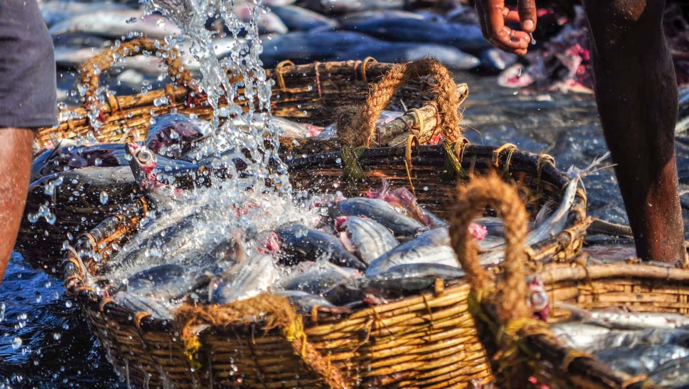 Researchers provided an Indonesian fishing community with a solar-powered ice maker, reducing costs and pollution.