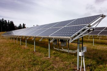 A new report outlines how agrivoltaics could support the clean energy transition in Washington while protecting rural economies.