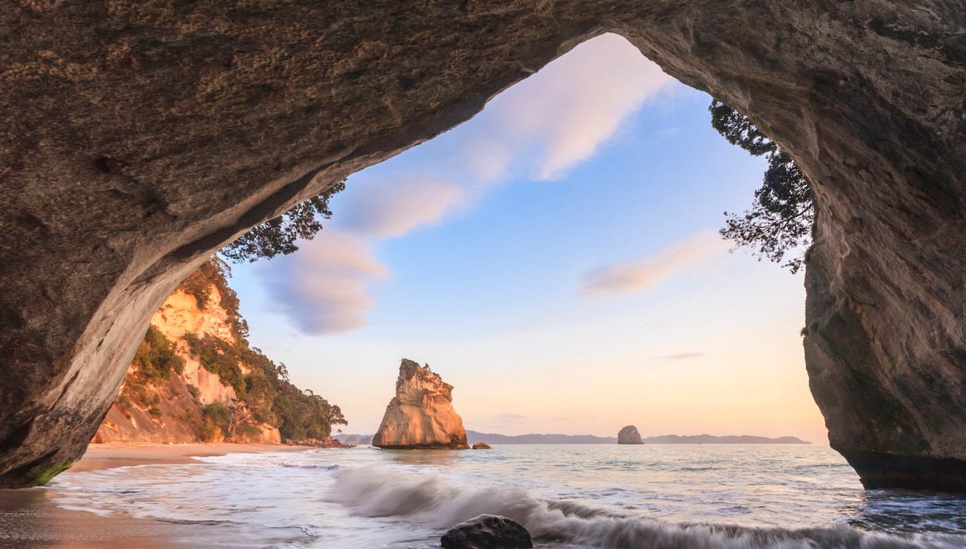 New Zealand announced a five-year ban on spiny rock lobster's fishing along the North Island's upper east coast.