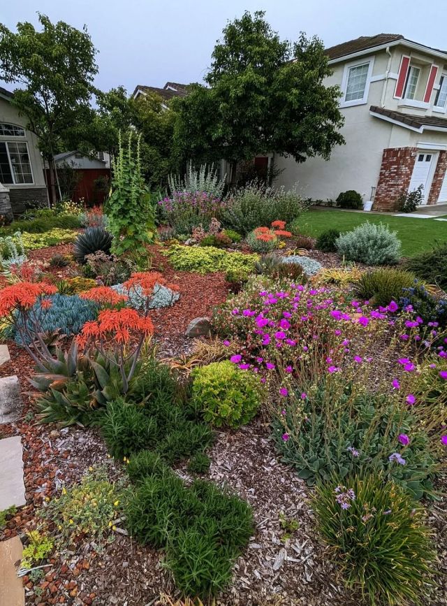 The no-lawn movement is on the rise, but seeing is believing. A Redditor shared photos of a stunning no lawn in Northern California.