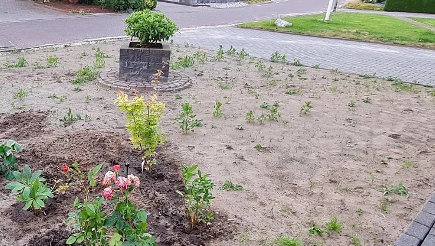 One gardener shared their incredible lawn transformation, transitioning from a barren stone monoculture to a thriving garden.