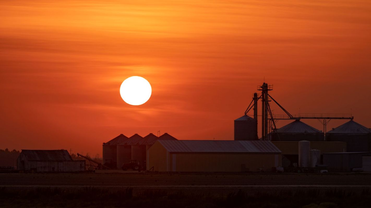 Grain farmers in Britain have had a rough go of it in 2025, thanks in large part to record heat and drought.