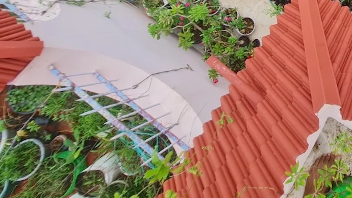 One gardener just proved to Reddit that you don't need much — or even a yard — to make a beautiful terrace garden.