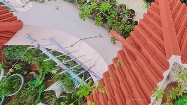 One gardener just proved to Reddit that you don't need much — or even a yard — to make a beautiful terrace garden.