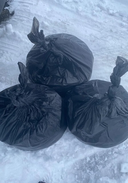 One Reddit user shared how they became the lucky recipient of used Starbucks' coffee grounds for their garden.