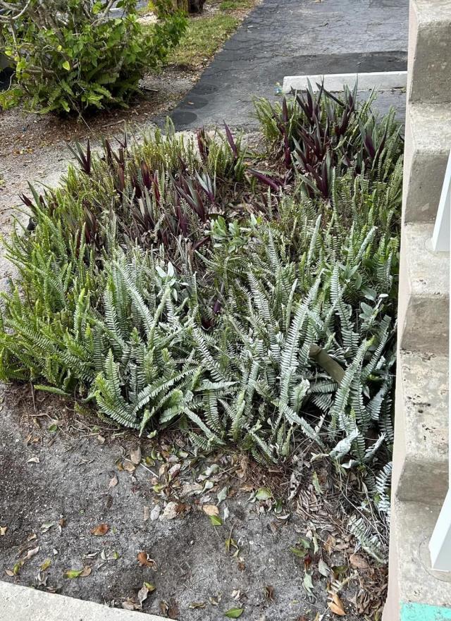One Redditor shared a frustrating experience with HOA landscaping after their properties were covered in paint overspray.
