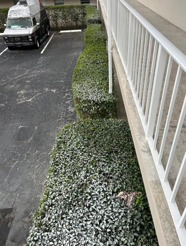 One Redditor shared a frustrating experience with HOA landscaping after their properties were covered in paint overspray.