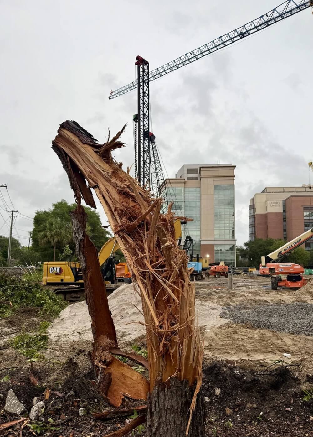 Passerby sparks outrage with photo of upsetting scene at construction ...