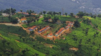 Residents of several villages in southern India are living in fear after a trap camera spotted a large tiger wandering the nearby forests.