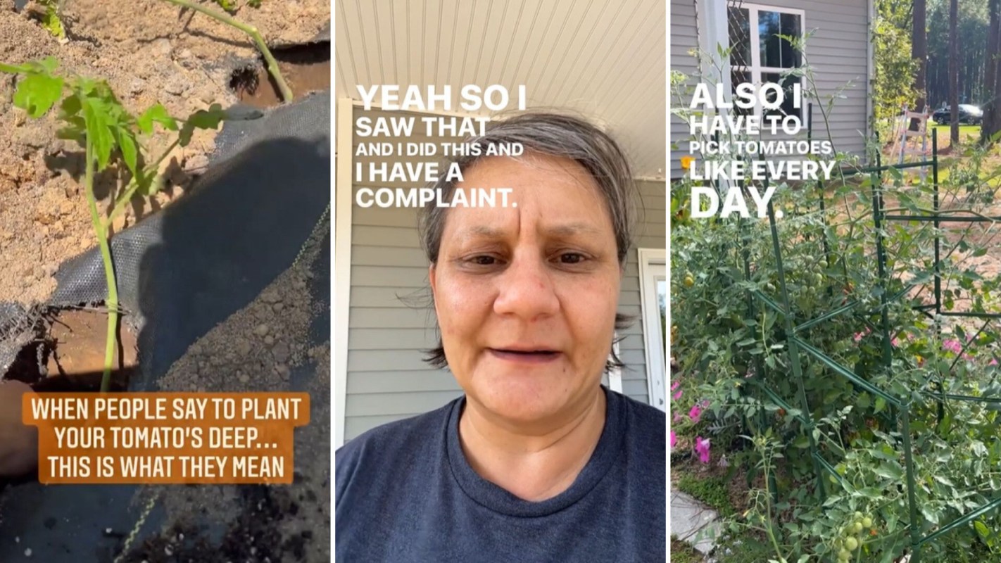 In an Instagram reel, gardener Sarah Christenson shared how her tomatoes were unexpectedly thriving after following a viral planting hack.