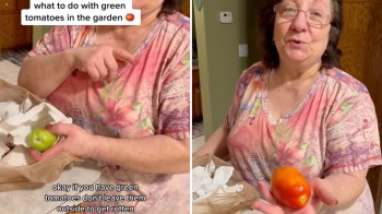 One TikToker shared her grandma's genius hack for ripening green tomatoes — and it's a game-changer.