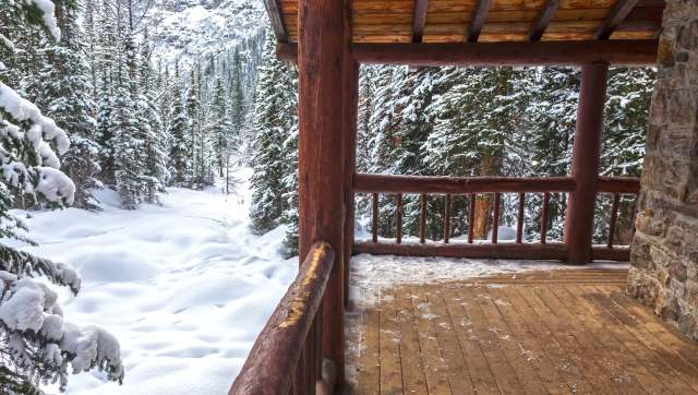 People who live near the woods know animals come through at night — but a TikTok shows how using a trail camera can capture the action.