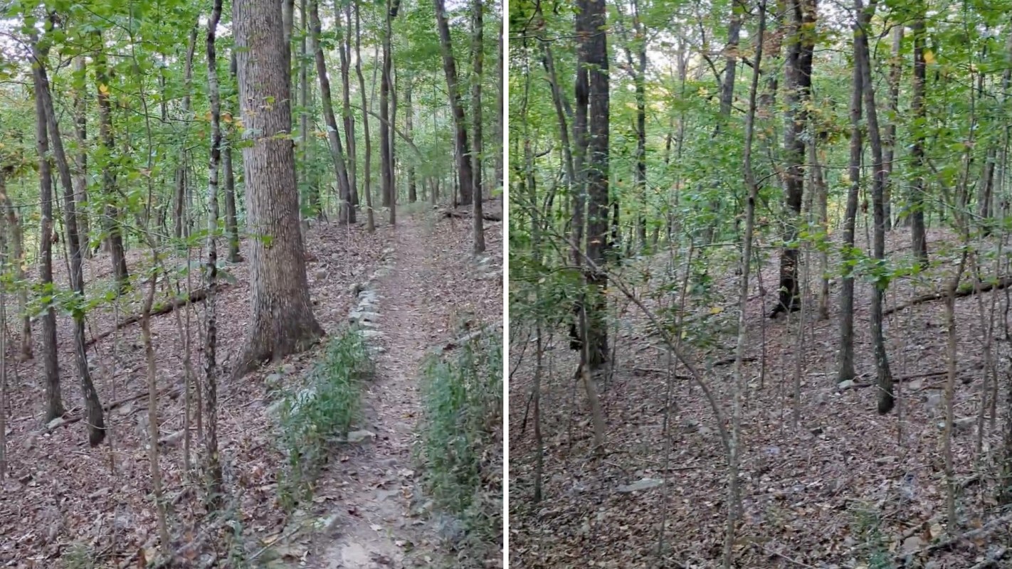 After this harrowing close encounter with a bobcat, it's more important than ever to stay aware of your surroundings while in nature.