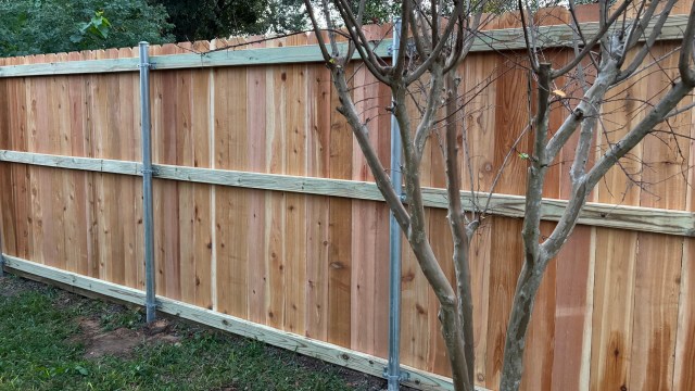 An alleged tree-cutting scam, called #treegate, has left a Georgia homeowner feeling violated and seeking advice.