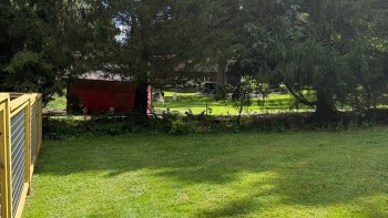 One Redditor asked what to do when a neighbor secretly pruned his trees. The community at r/treelaw had plenty of advice.