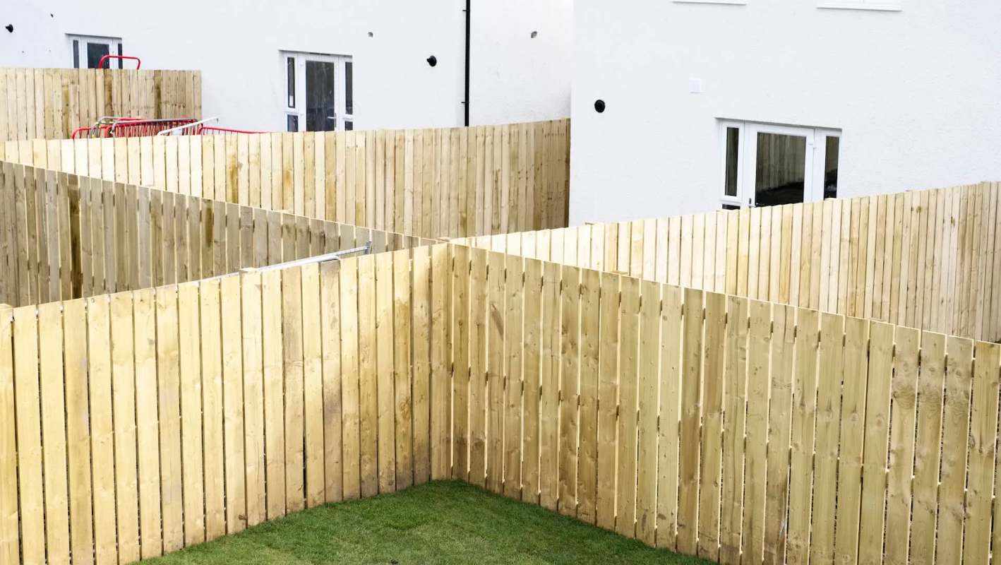 One heartbroken Reddit user shared their tree-law story after a neighbor cut down 12 black walnut trees.