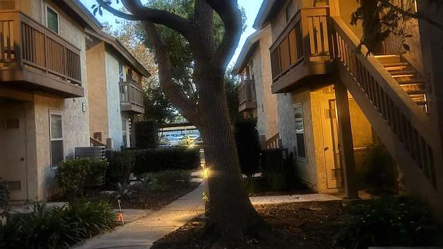 One Redditor shared the infuriating story of an HOA member wanting to cut down large trees surrounding the housing complex.