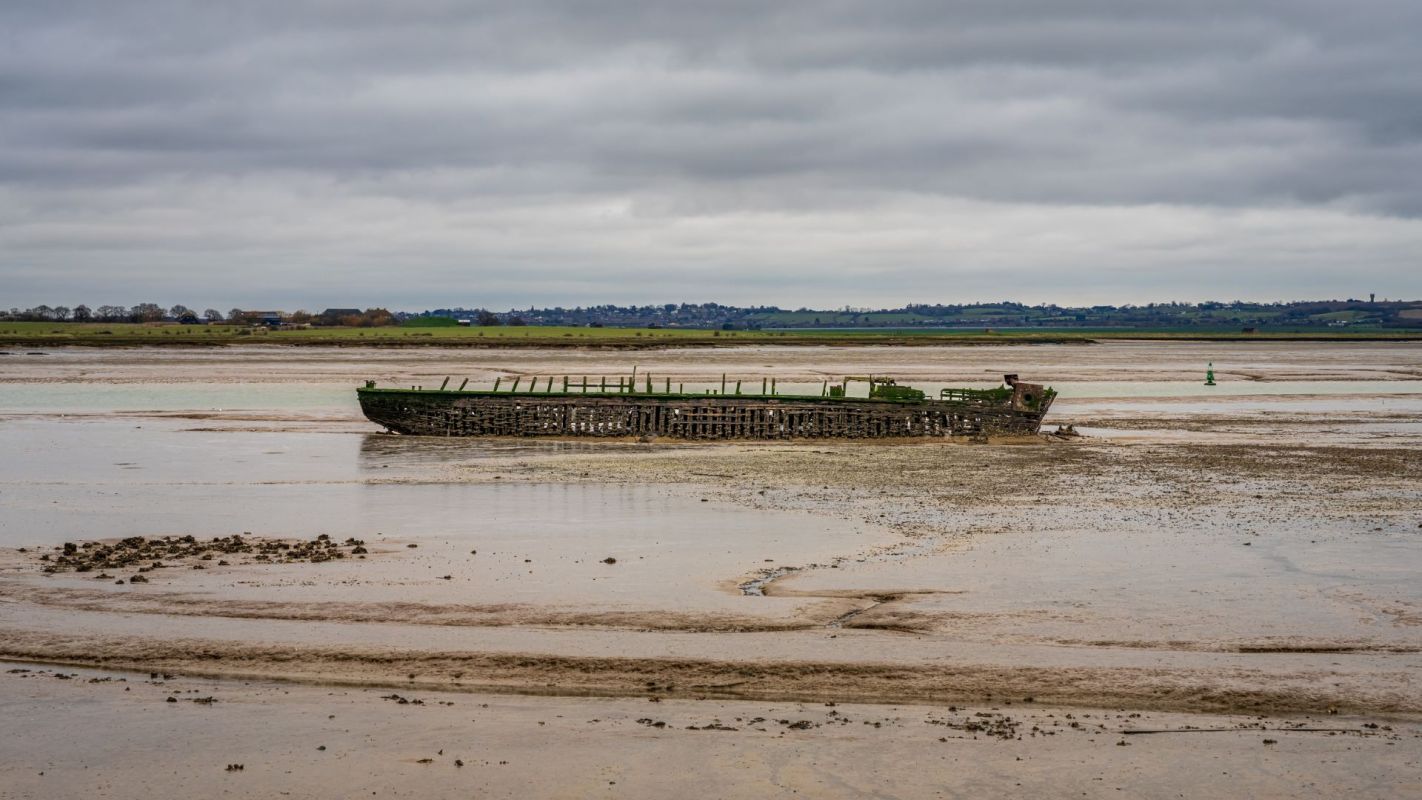 The Australian Conservation Foundation found that recent projects greenlit by the government could put endangered species habitats at risk.