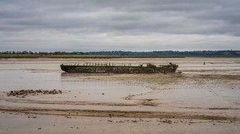 The Australian Conservation Foundation found that recent projects greenlit by the government could put endangered species habitats at risk.