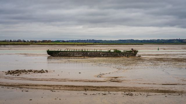 The Australian Conservation Foundation found that recent projects greenlit by the government could put endangered species habitats at risk.