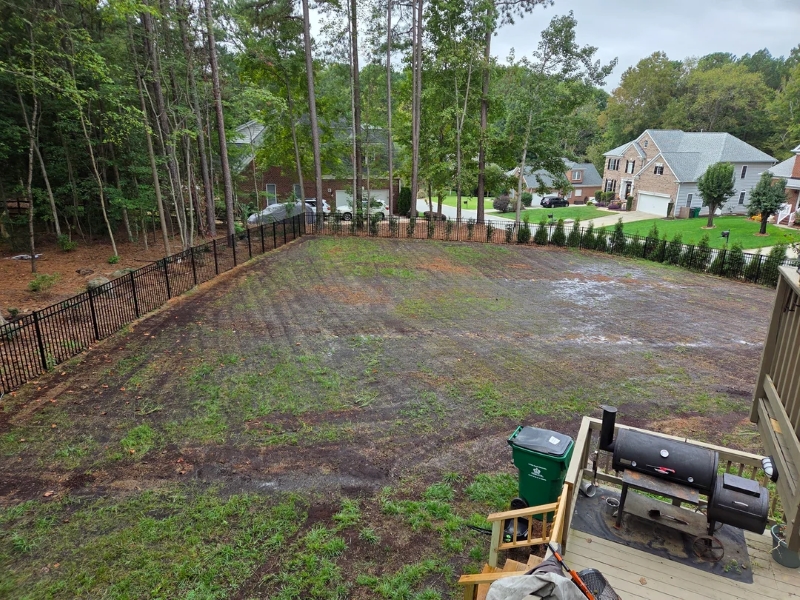 Redditors were shocked by a homeowner's decision to remove dozens of trees on their property to install a turf lawn.