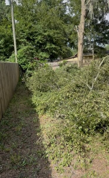 One Redditor's shared a frustrating story about how their neighbor is causing tree-law problems.