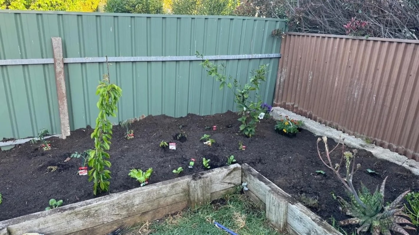 One amateur gardener on r/GardeningAustralia demonstrated the joy and satisfaction of witnessing the progress of their incredible veggie patch.
