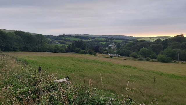 New research suggests warming winters are damaging the DNA of common wall lizards.