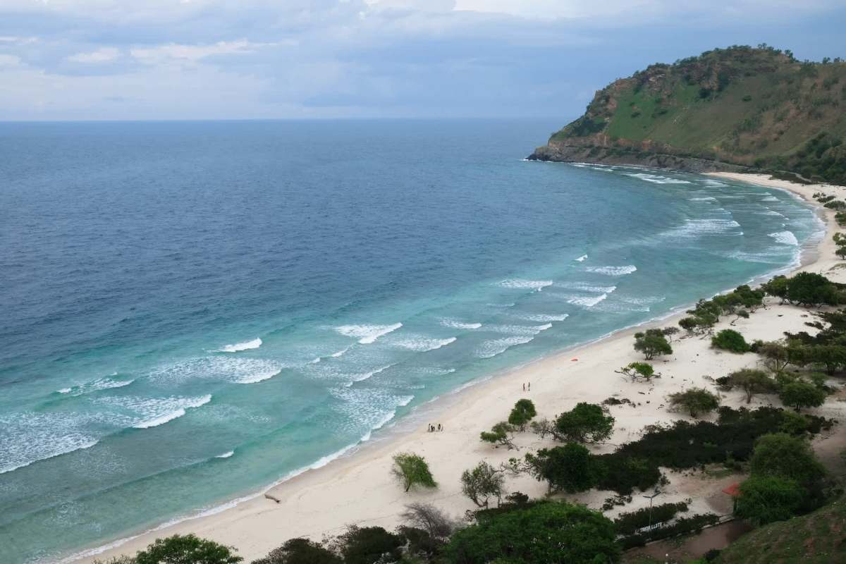 Whale tourism in Timor-Leste is unregulated and out of control, threatening one of the ocean's most important animals.